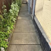 Complete Garden Transformation — before